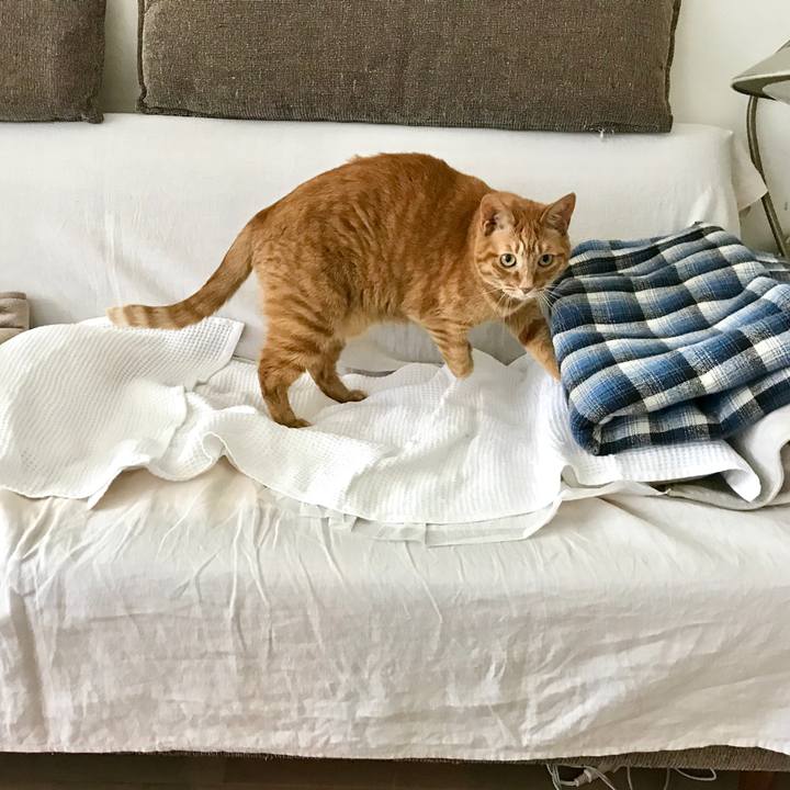 Bb32dabe 7045 496e b481 7b24b4a7f4ab