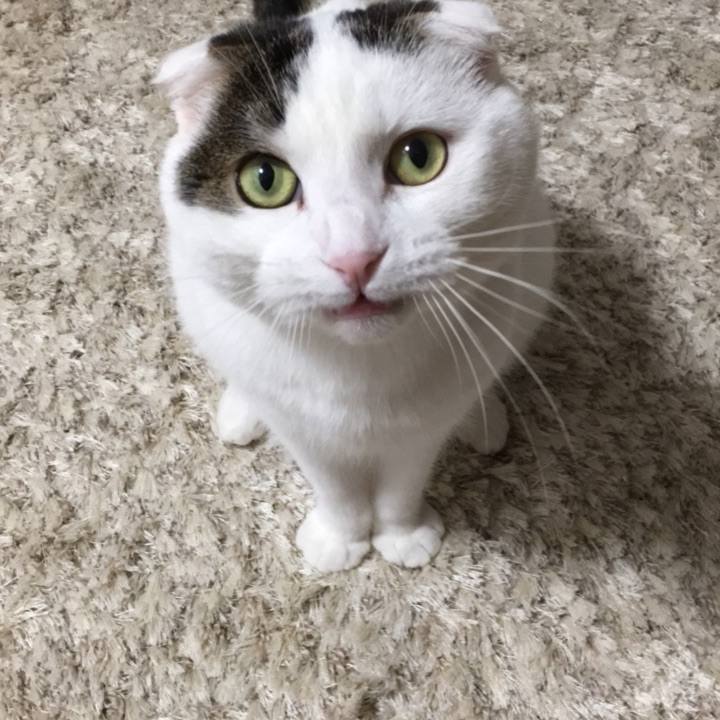 Bb340c9b c692 40ae 94a4 a41ff8c451e9