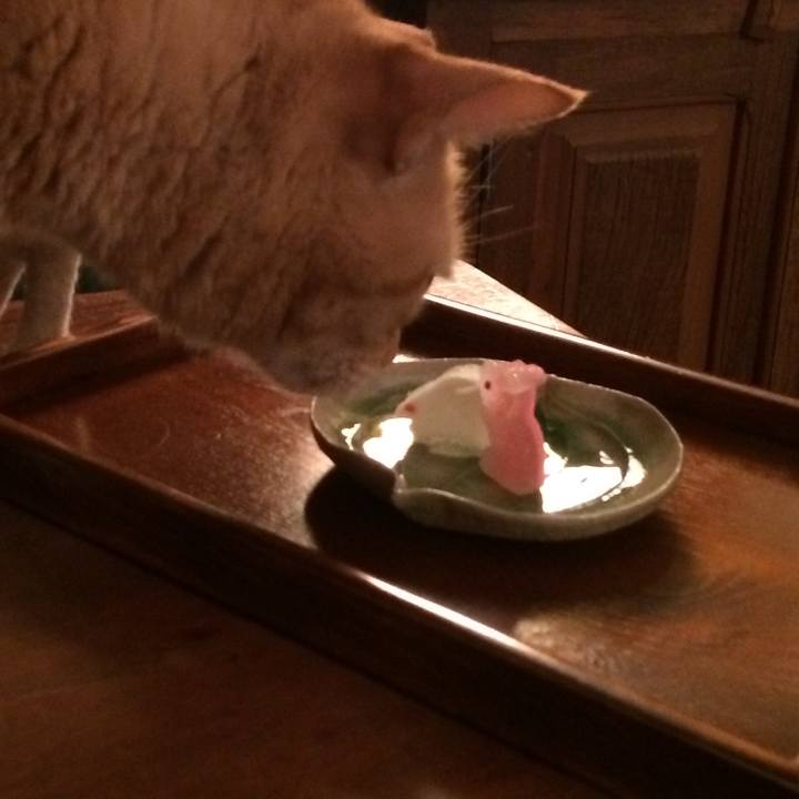 Bb342607 3d3b 473a b8b7 1b481fe0eb4a