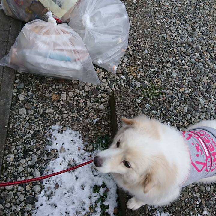 Bb354a1f 5478 4207 a848 ce8de9c1e112