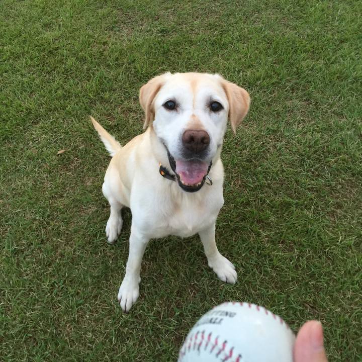 Bb354bb7 54af 4b7d 8723 6224e4e36f76