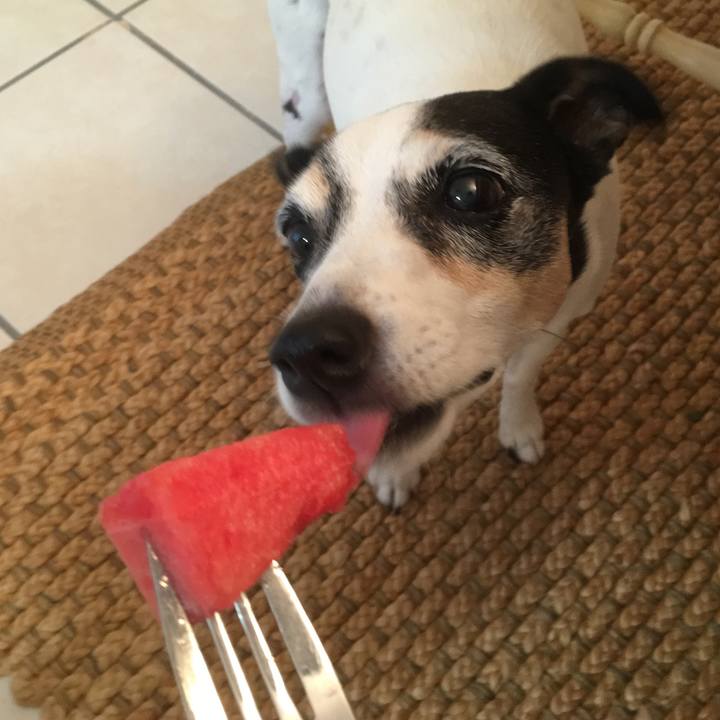 Bb35830b b314 42b2 a56c 0639736a8269