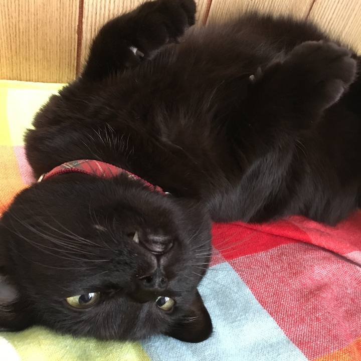 Bb35b2a2 7ae0 4401 9b0a cc23b2dccac7