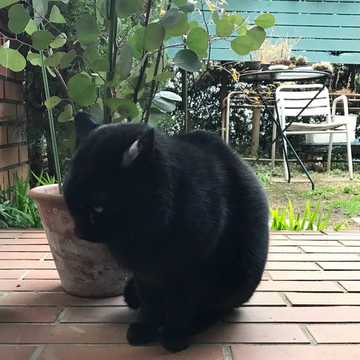 Bb360d27 bdf8 47dd b53d b31147954464