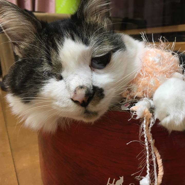 Bb364842 581f 4df3 b042 3015b7120655