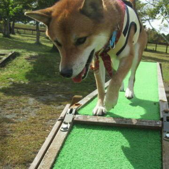 Bb36547d 8eae 4836 a53e c113a56fd3c3