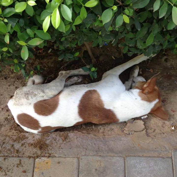 Bb369843 bc33 48fe a913 591fb15d5d28