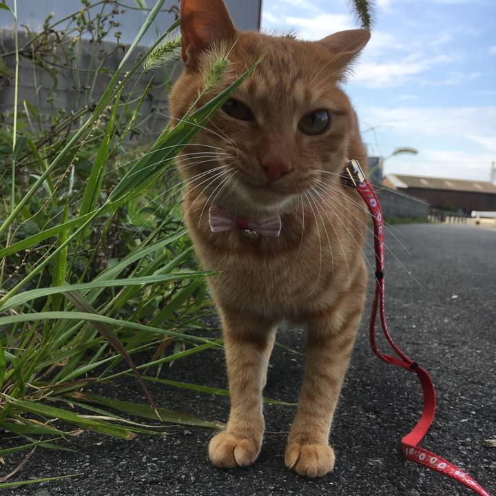 Bb36ee39 81b4 4c53 a227 0967d2549b75