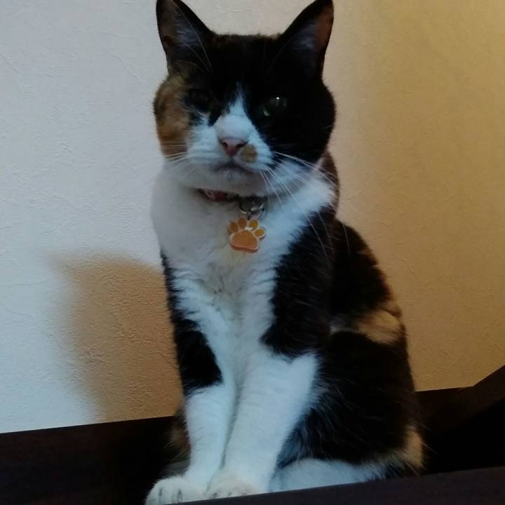 Bb37d80a 18e8 46a8 bd1a e1e168d531eb