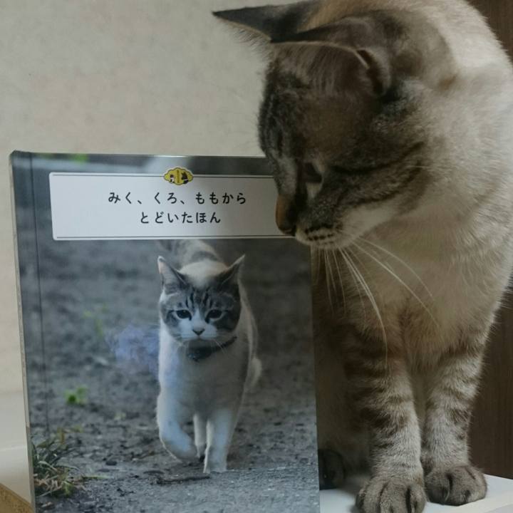 Bb37da5a 982c 4b92 a279 07d3ef87bf8f