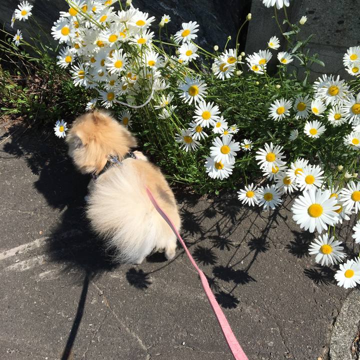 Bb390f0a b060 400d 9df9 5aec4dba92d0