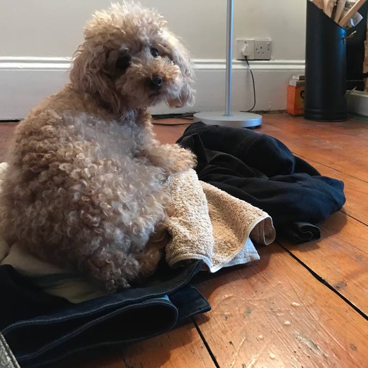 Bb39b30f 5d18 4d6b b11b d475d5a1b1ef