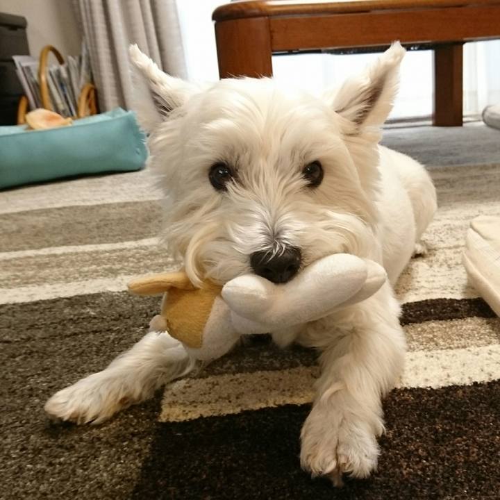 Bb39df1f 7de4 4678 926d a03fb629c74f