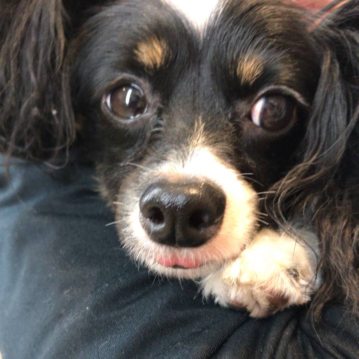 Bb39e76c 6ee4 47bc 93d4 e39dfe0f867d