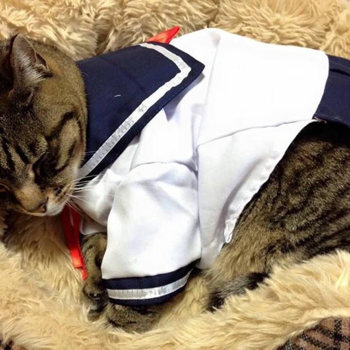 Bb3b85fd 8177 4e6b a175 6e6fa927d4bf