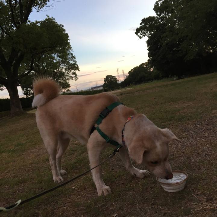 Bb3bd613 01e9 4142 b568 50eee4bb9ed1