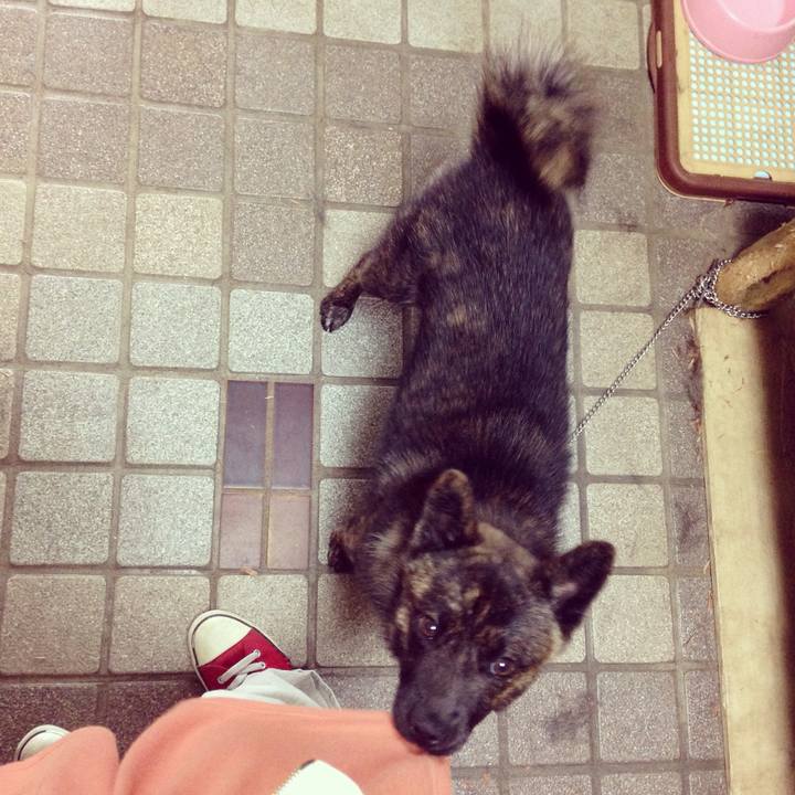 Bb3c0ca3 9804 4ae0 bf27 51b2a59b9a9b