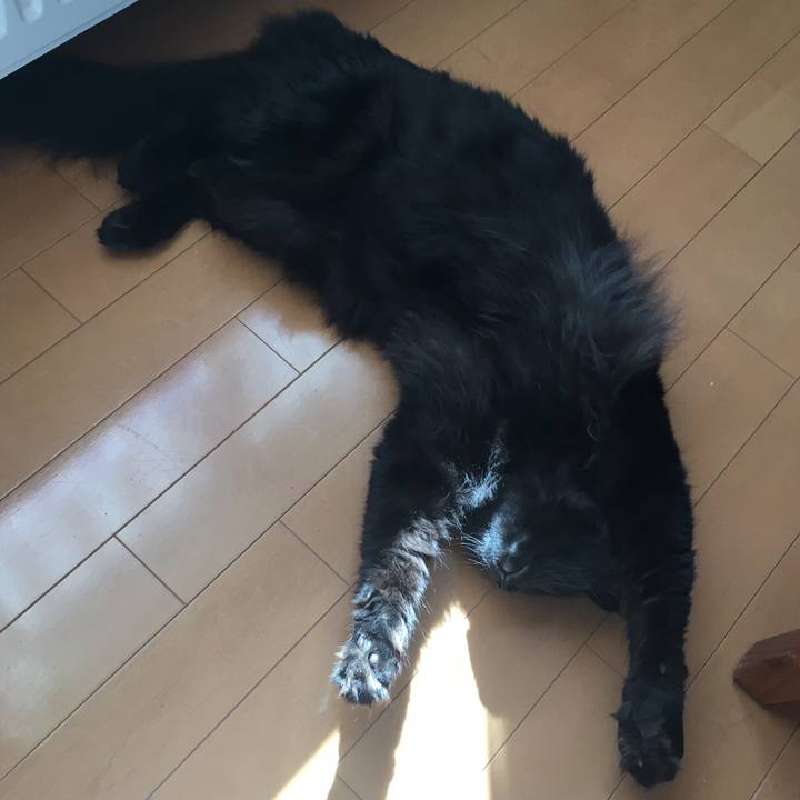 Bb3c1580 1cba 40c4 bfb9 06710b98e520