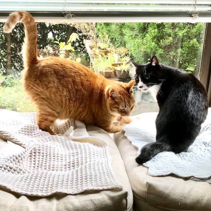 Bb3c2347 1edb 42b2 beef 72699d2eaca8