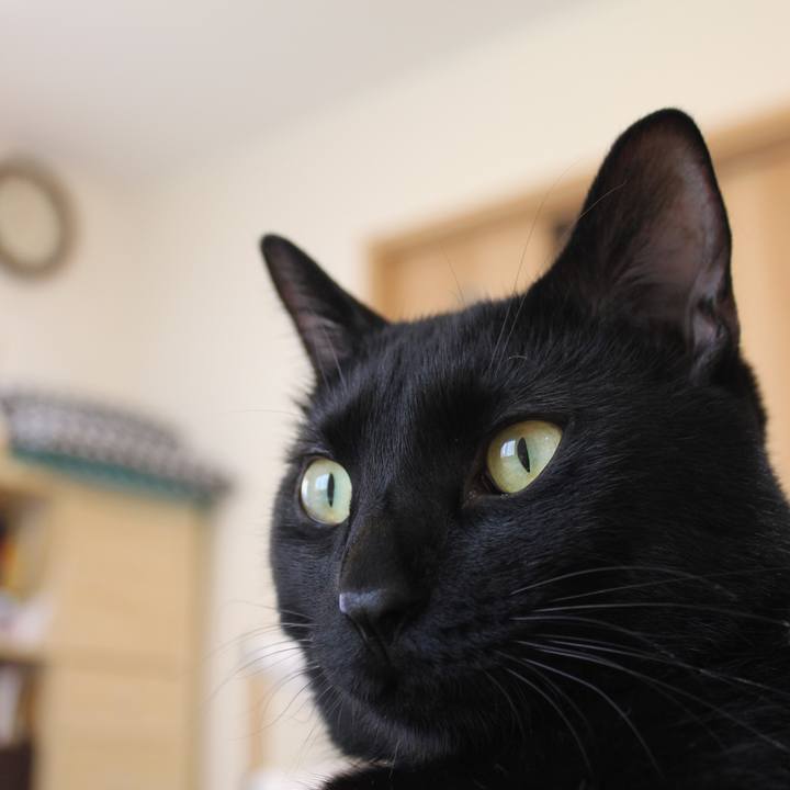 Bb3d4990 81ab 4bab 9e9d 6668d85b46d3