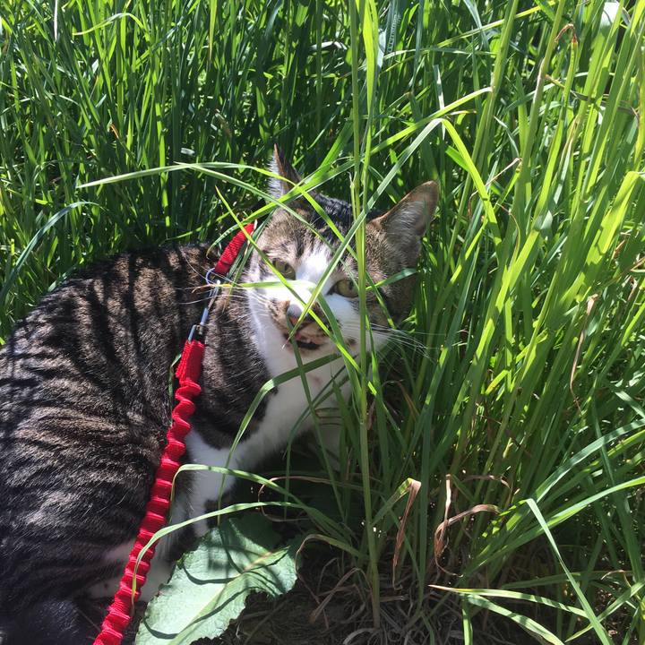 Bb3db77e 765a 427f b8f3 6392da4941ff