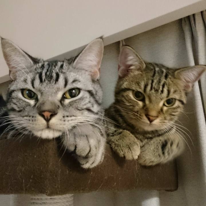 Bb3dfb79 ef32 40e5 abc8 8e46ddffa8ab