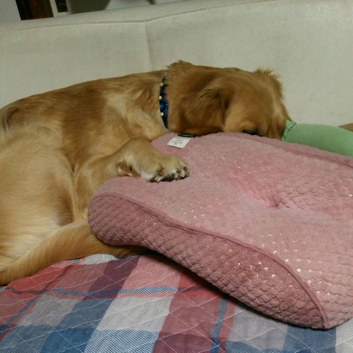 Bb3dfe3b d0b2 4683 ace7 ecb80206d3ef