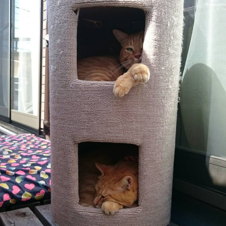 Bb3e5bdb 089b 4bd2 af25 9aa055c3e2c0