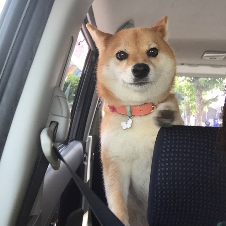 Bb3ee685 1c9a 41c6 970c 30f04af3b4b4