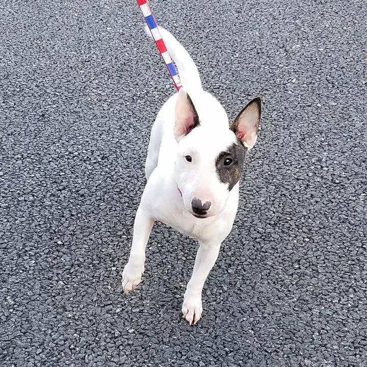 Bb3ef68c 333a 49e0 beb4 0fc74a18bb8c