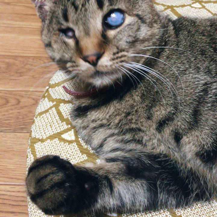 Bb3f0e1e 344a 49a5 b0de ac74ca871895