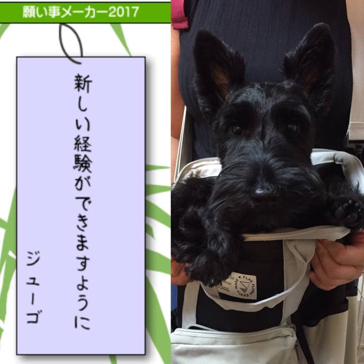 Bb3fc491 94d1 4ac9 9df9 83ee5a6d673d