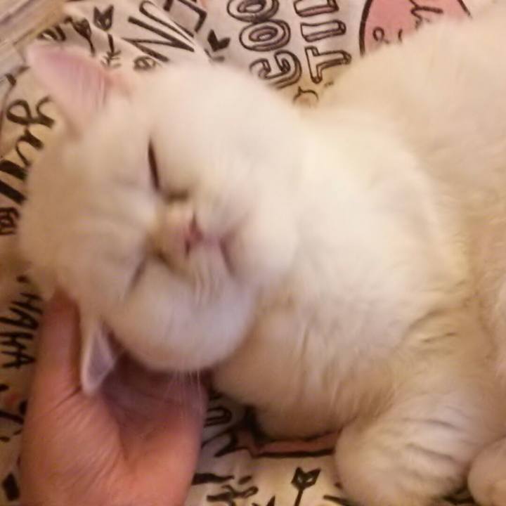 Bb3fe741 5a9a 497c a0ef 515c4f5c2369