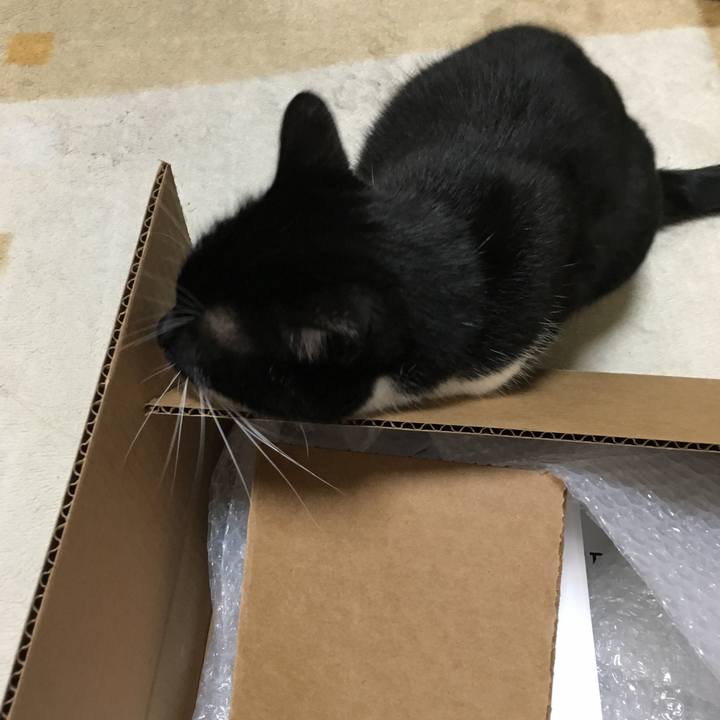 Bb3ffc1d 3ba0 4999 a468 6c92e383201e