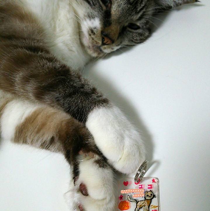 Bb408cf5 bebb 4ddc 9fbb 900a7756cd85