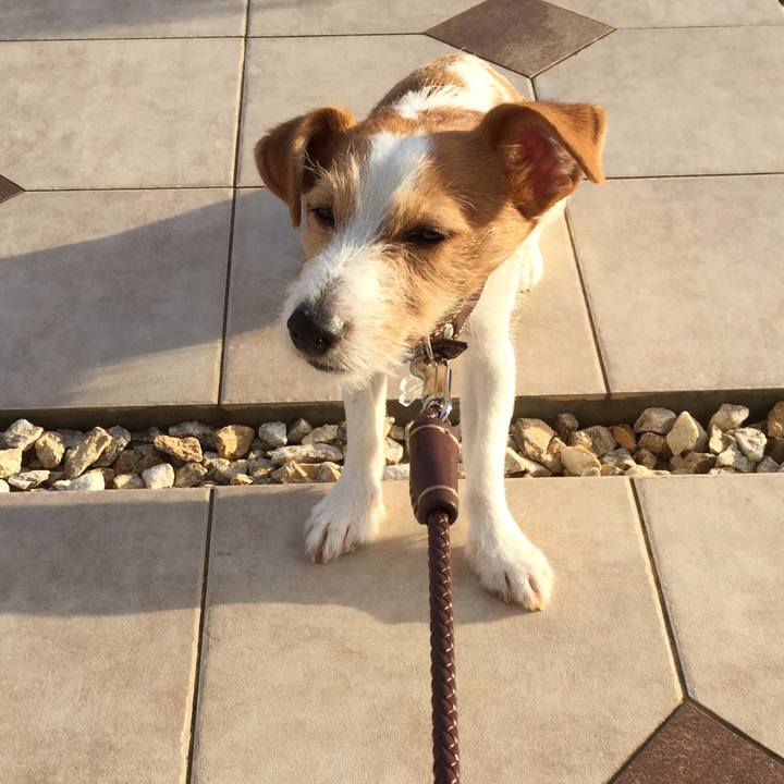 Bb40c135 46d9 40e1 b1a3 546c28db9b95