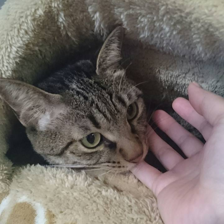 Bb40f6a4 8a15 4600 8a3e 9bfb0ddc59fd