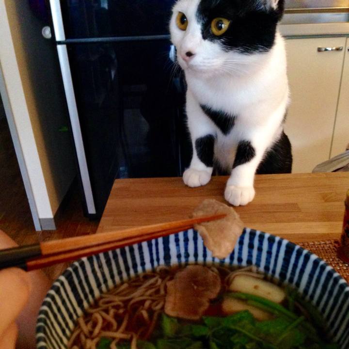 Bb41ba6b ef5d 43c7 a87d 94665d554487