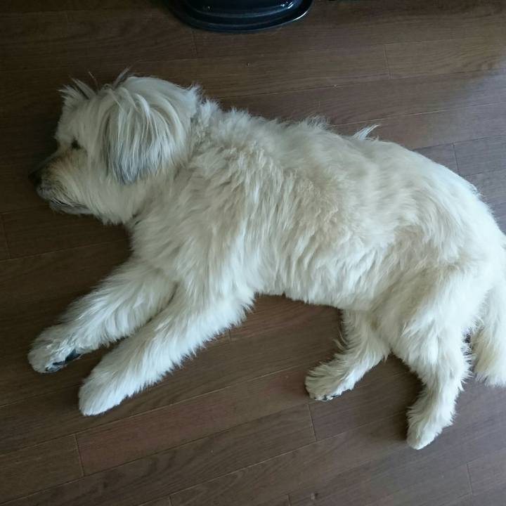 Bb41f6e0 c4bf 4f39 a687 c66e20bc2b59