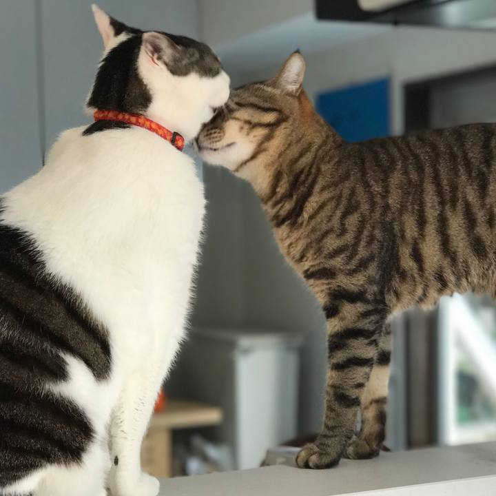 Bb422f0f 4107 4812 8c9e da0c04272cbd