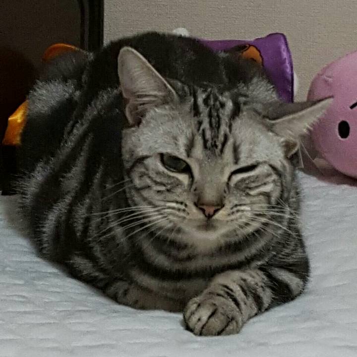 Bb424f5f 7dda 40f6 9dd0 92a1b5fe2b7f