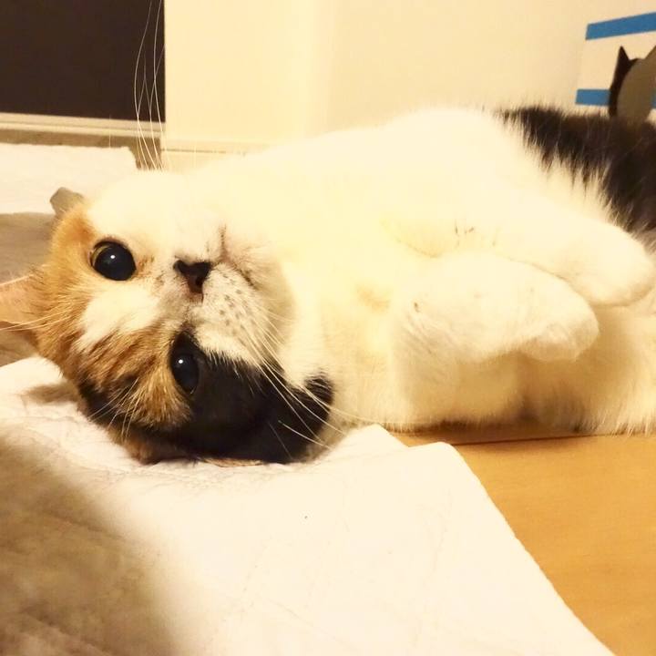 Bb425426 a83a 40c8 9cd3 af0cd4b38552