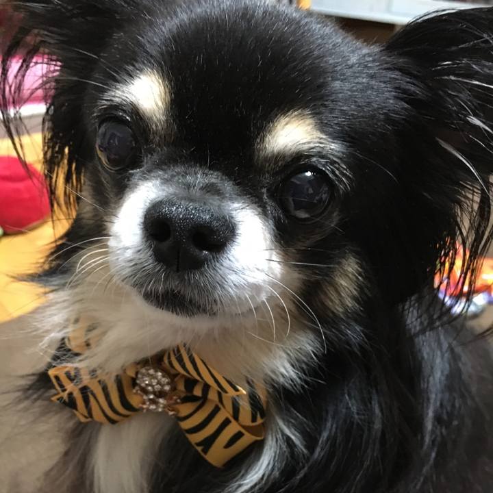 Bb425701 d13b 4b5e b225 563d2447d40c