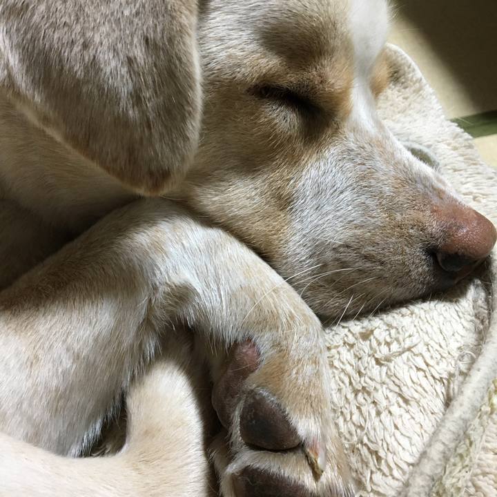 Bb426e83 cafa 4466 9b78 bd320c59909d