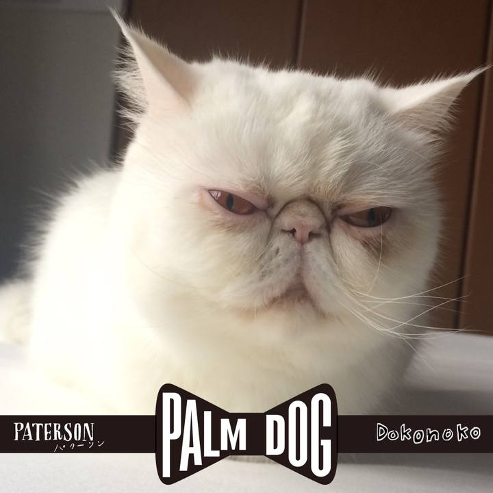 Bb42f094 1acf 4314 8c7c e4743de2b182