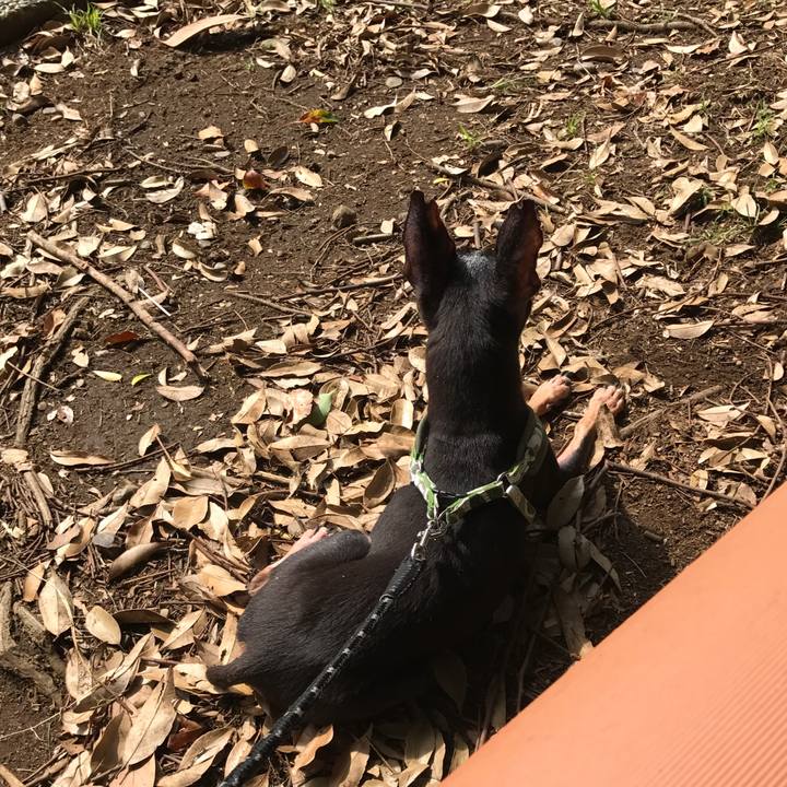 Bb430b7a 2038 4a85 8cec beedd6d2b611