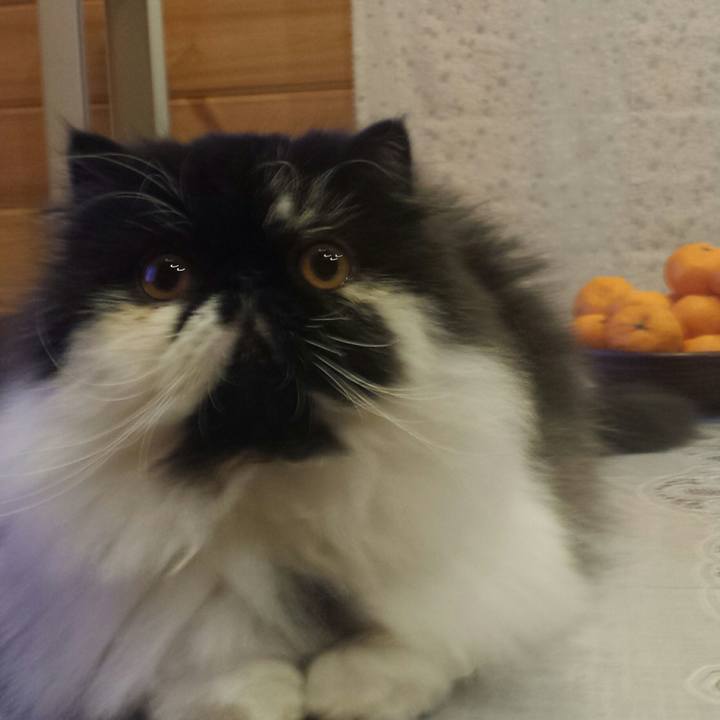 Bb433138 af8c 4aa7 a8b6 3437c4c4ebb2