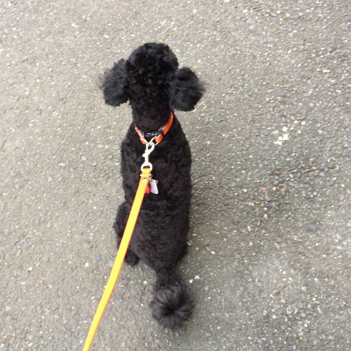 Bb4371ef b540 4c29 9791 c2d01aa4c3db