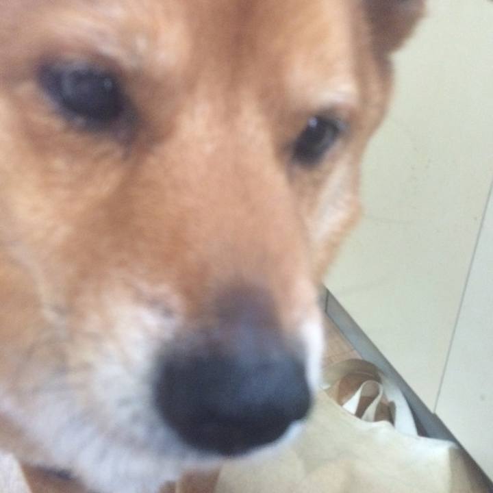 Bb43e384 9a9b 4e07 8901 926dc5d2822b