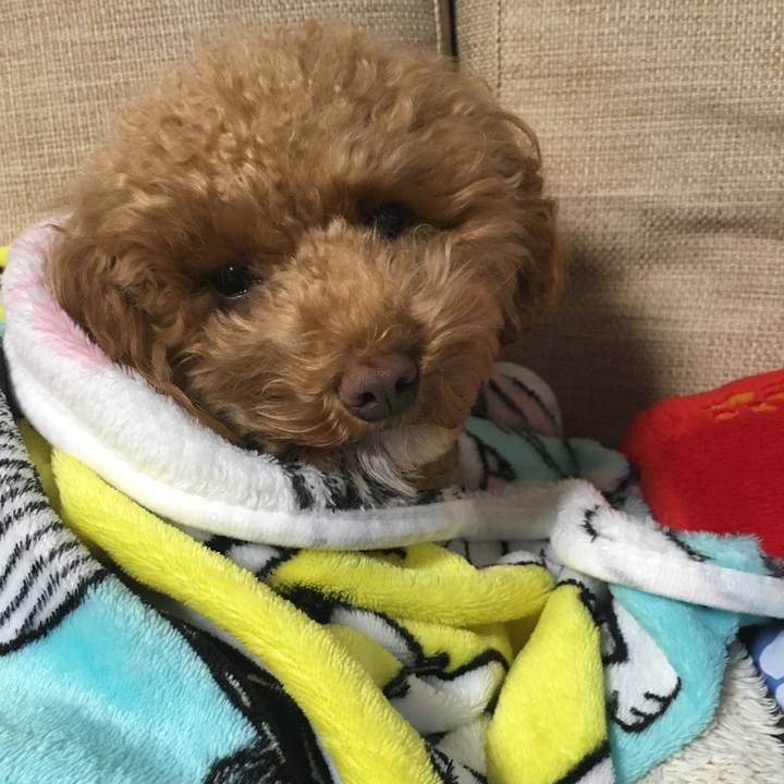 Bb442f98 ebfd 424b 9b78 dc468840636b